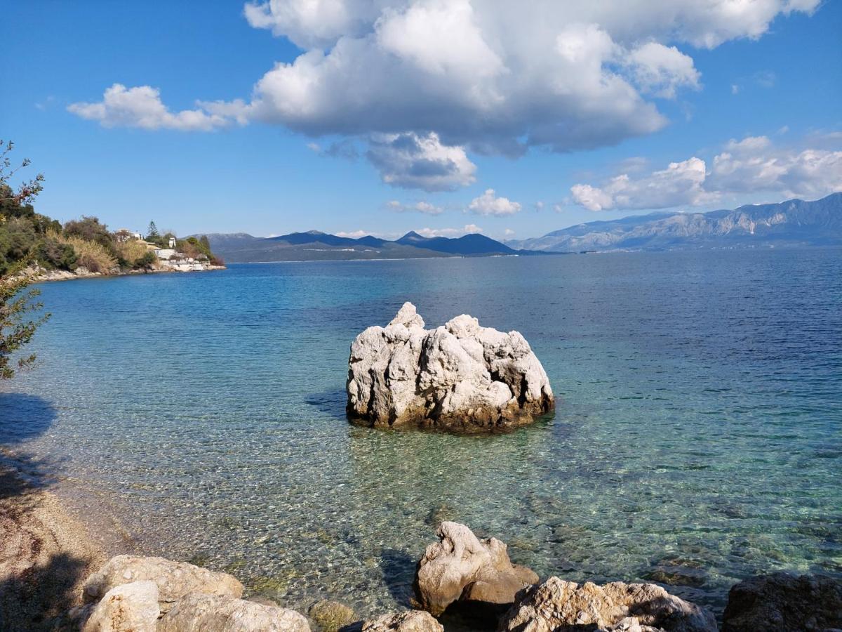 Lefkada Unique Sea View Apartment 奈德里 外观 照片